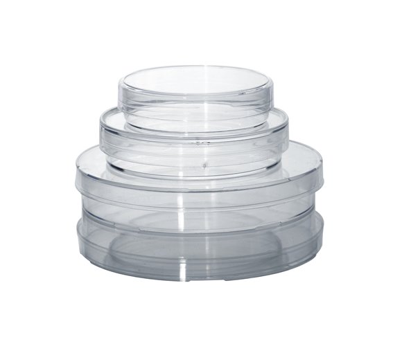 Petri Dishes